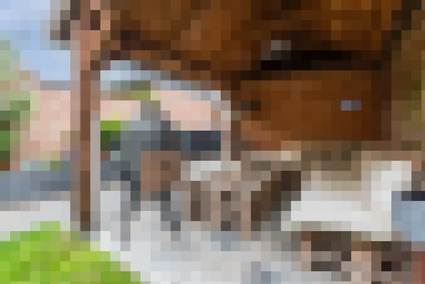 Zijdehoenderlaan 112 Barneveld thumbnail 37