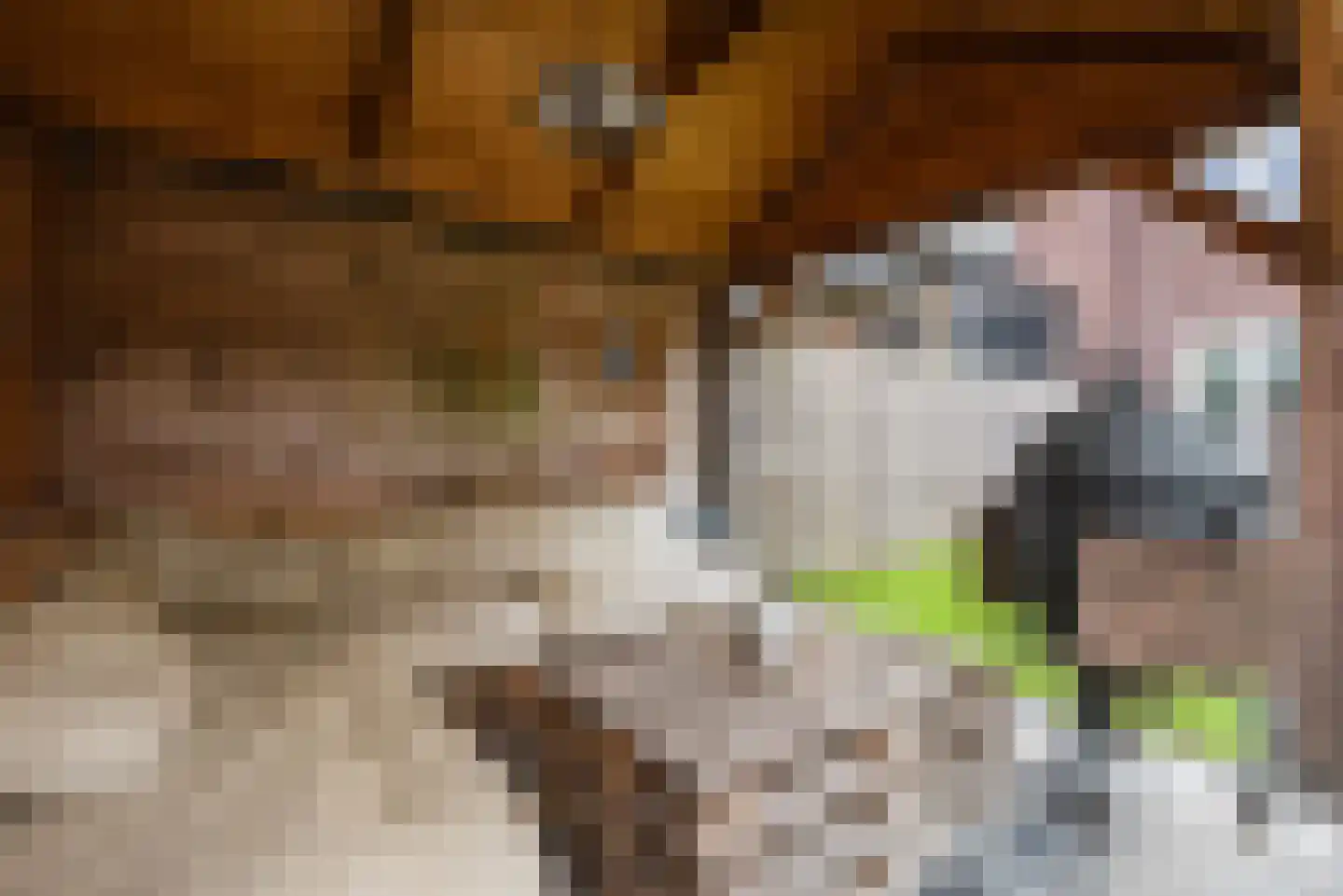 Zijdehoenderlaan 112 Barneveld thumbnail 38