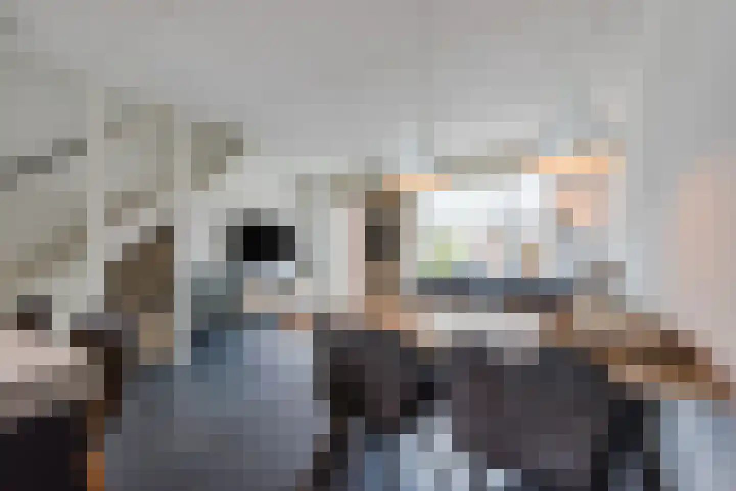 Zijdehoenderlaan 112 Barneveld thumbnail 4