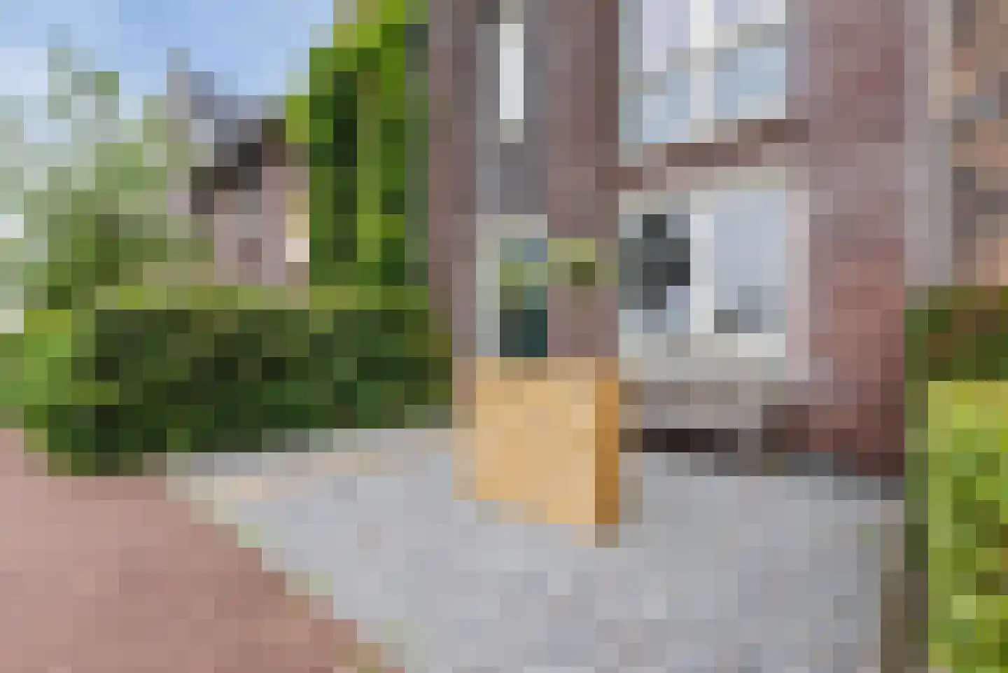 Zijdehoenderlaan 112 Barneveld thumbnail 43