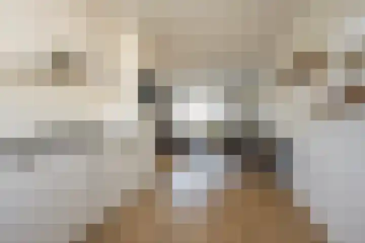 Zijdehoenderlaan 150 Barneveld thumbnail 11