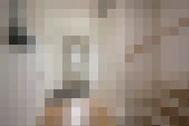 Zijdehoenderlaan 150 Barneveld thumbnail 13