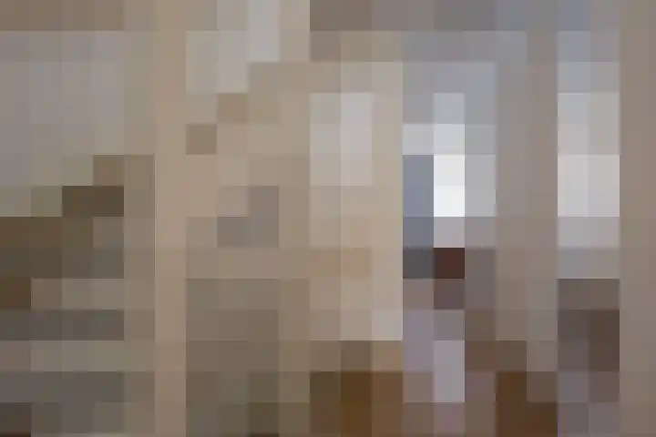 Zijdehoenderlaan 150 Barneveld thumbnail 14