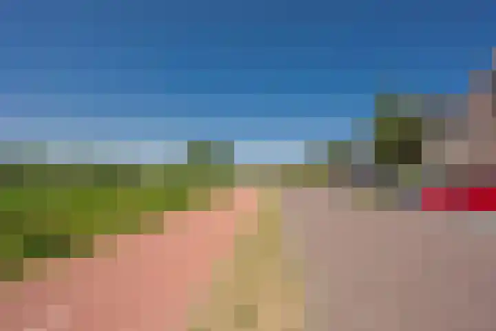 Zijdehoenderlaan 150 Barneveld thumbnail 23