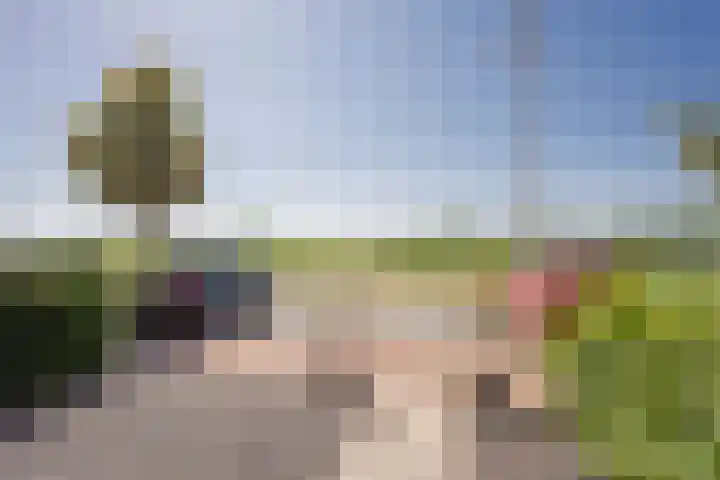 Zijdehoenderlaan 150 Barneveld thumbnail 4