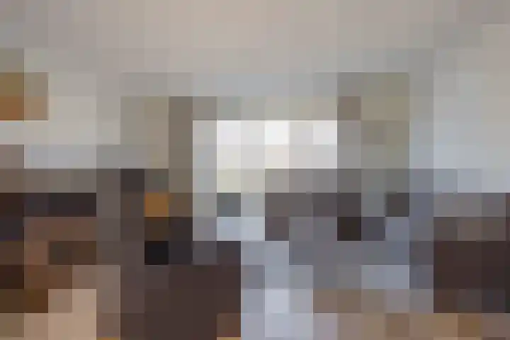 Zijdehoenderlaan 150 Barneveld thumbnail 6