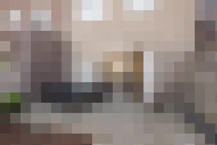 Zijdehoenderlaan 150 Barneveld thumbnail 8