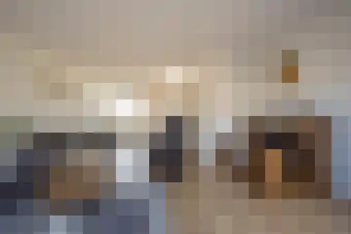 Zijdehoenderlaan 150 Barneveld thumbnail 9