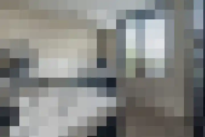 Zijdehoenderlaan 4 Barneveld thumbnail 10