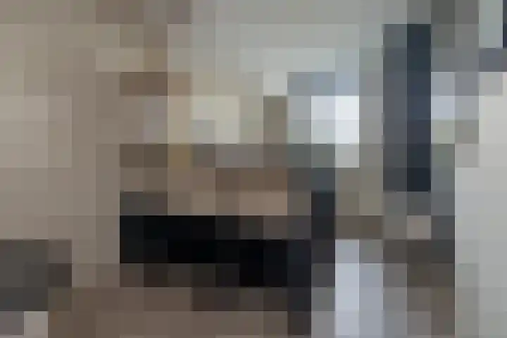 Zijdehoenderlaan 4 Barneveld thumbnail 13