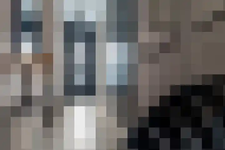 Zijdehoenderlaan 4 Barneveld thumbnail 14