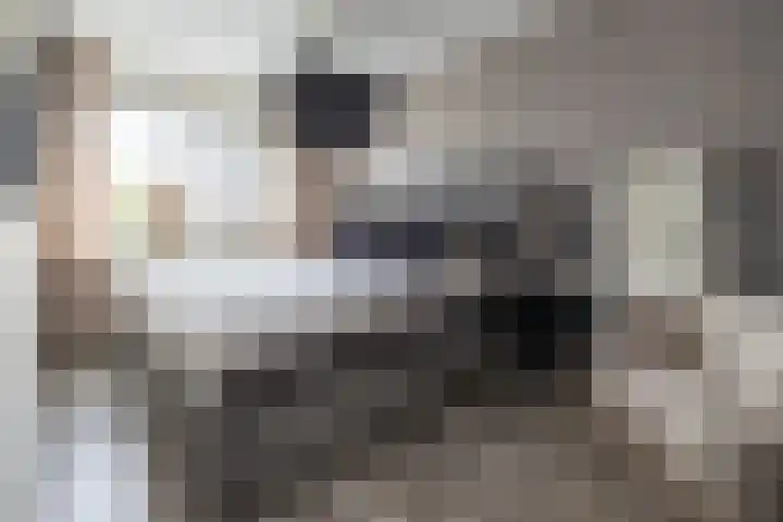 Zijdehoenderlaan 4 Barneveld thumbnail 17