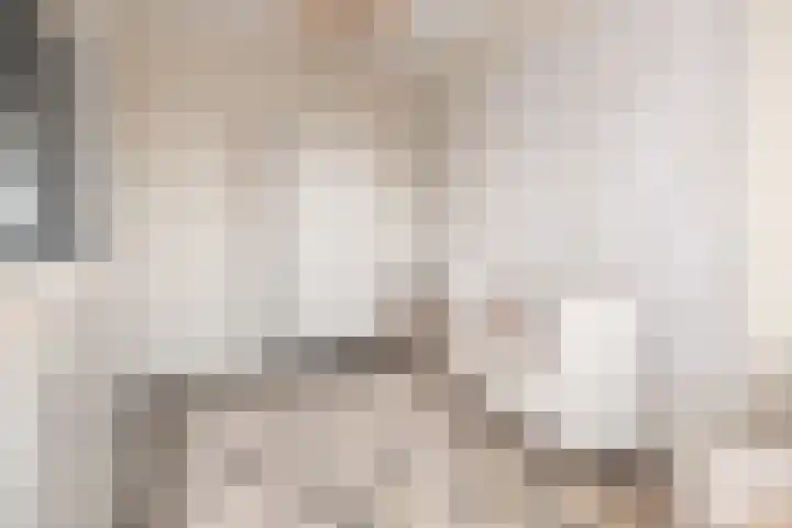 Zijdehoenderlaan 4 Barneveld thumbnail 20