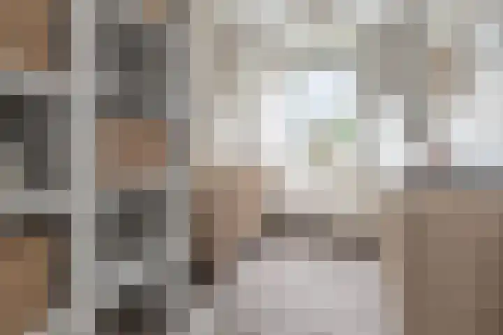 Zijdehoenderlaan 4 Barneveld thumbnail 21