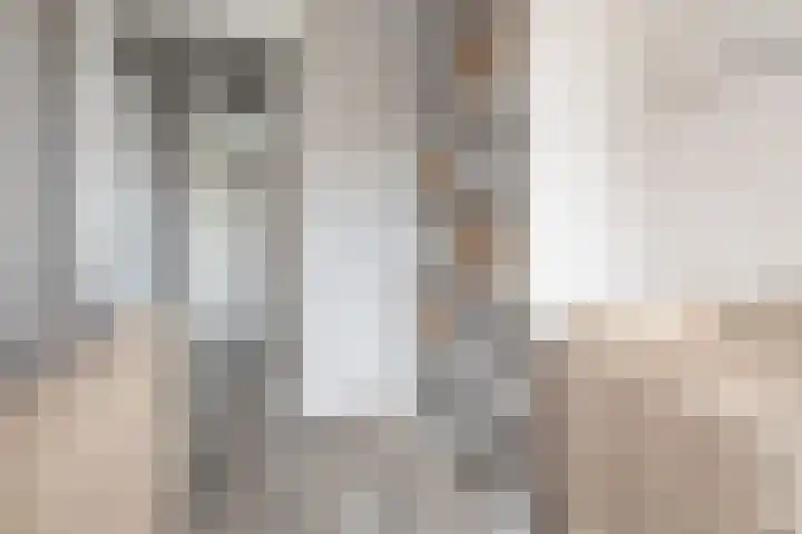 Zijdehoenderlaan 4 Barneveld thumbnail 22
