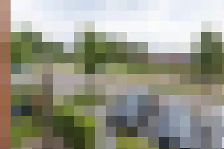 Zijdehoenderlaan 4 Barneveld thumbnail 23