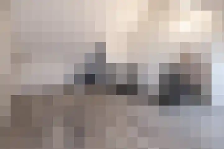 Zijdehoenderlaan 4 Barneveld thumbnail 29