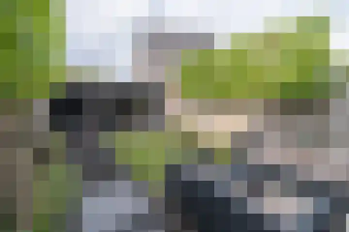 Zijdehoenderlaan 4 Barneveld thumbnail 31