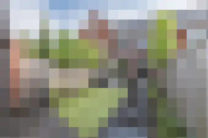 Zijdehoenderlaan 4 Barneveld thumbnail 32