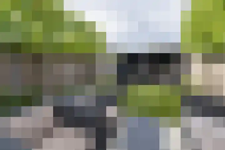 Zijdehoenderlaan 4 Barneveld thumbnail 33