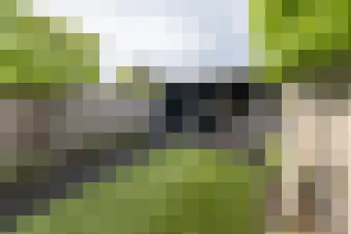 Zijdehoenderlaan 4 Barneveld thumbnail 34