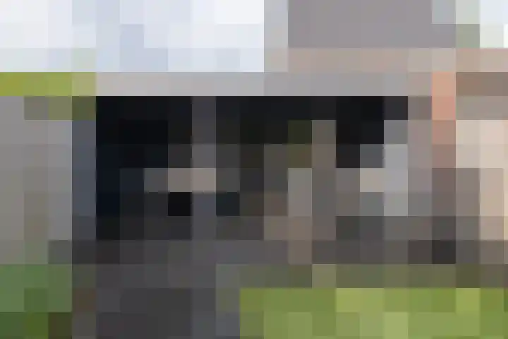 Zijdehoenderlaan 4 Barneveld thumbnail 35