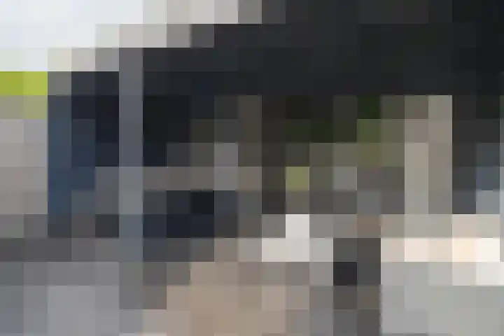 Zijdehoenderlaan 4 Barneveld thumbnail 36