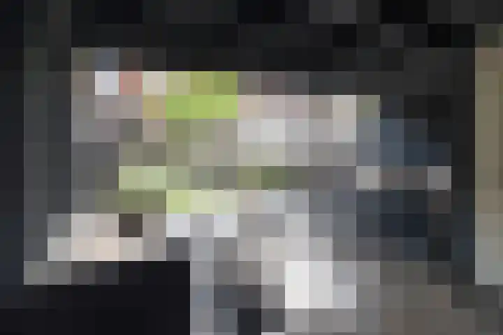 Zijdehoenderlaan 4 Barneveld thumbnail 37