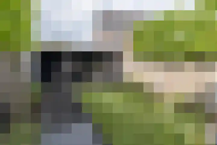 Zijdehoenderlaan 4 Barneveld thumbnail 38