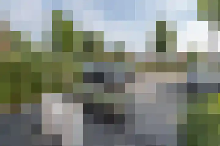 Zijdehoenderlaan 4 Barneveld thumbnail 41