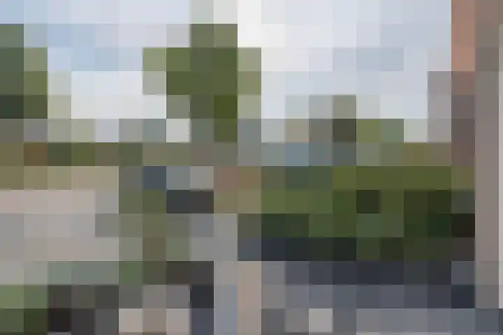 Zijdehoenderlaan 4 Barneveld thumbnail 42