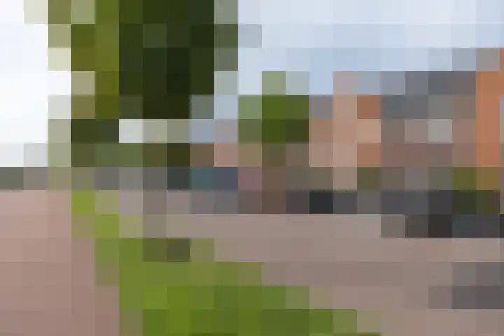 Zijdehoenderlaan 4 Barneveld thumbnail 43