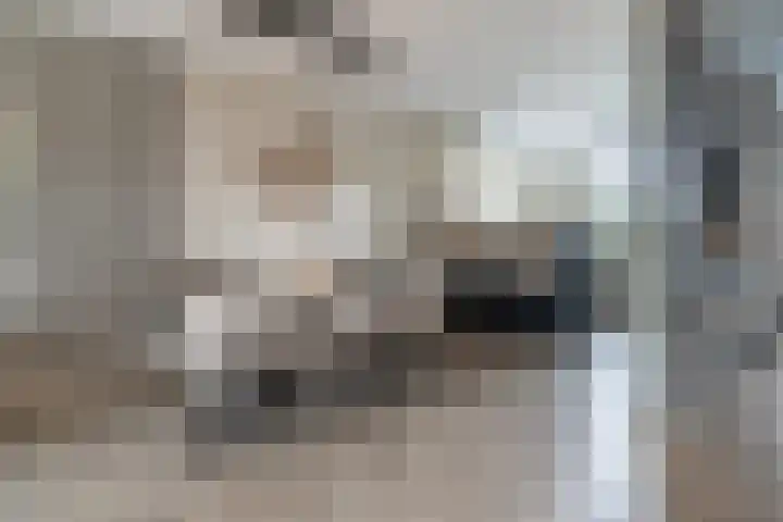 Zijdehoenderlaan 4 Barneveld thumbnail 8