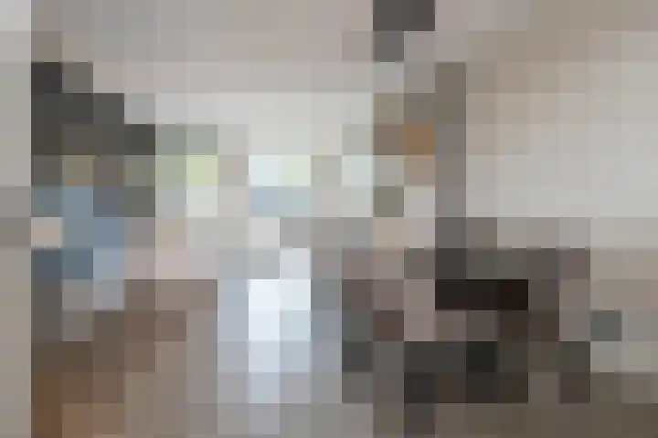 Zijdehoenderlaan 4 Barneveld thumbnail 9