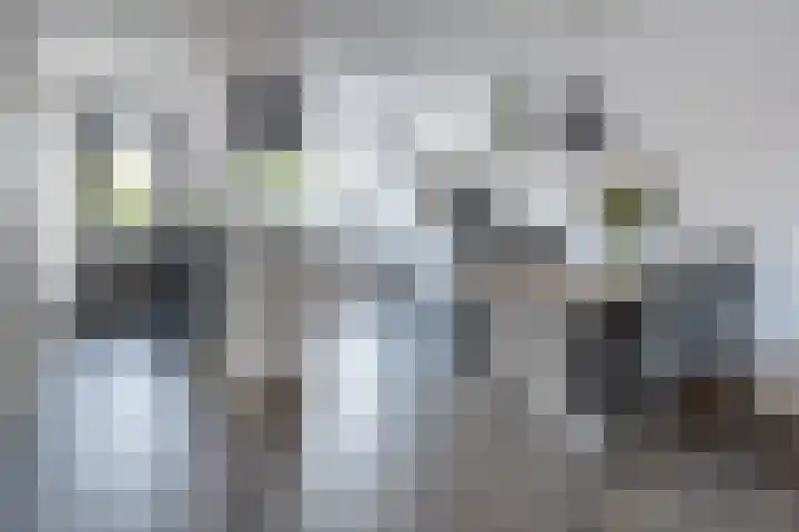 Zijdehoenderlaan 62 Barneveld thumbnail 11