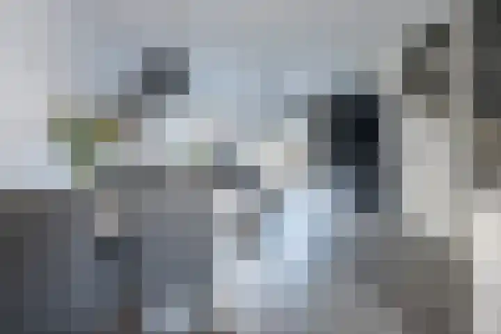 Zijdehoenderlaan 62 Barneveld thumbnail 12