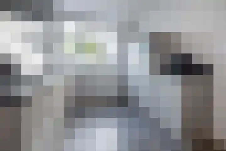 Zijdehoenderlaan 62 Barneveld thumbnail 14