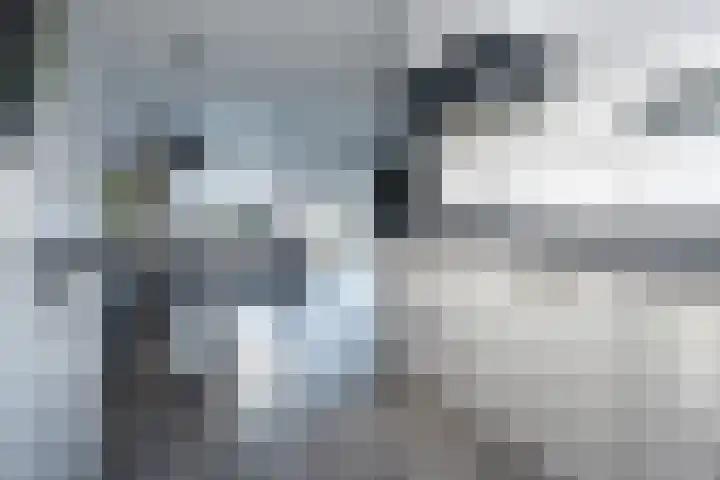 Zijdehoenderlaan 62 Barneveld thumbnail 15