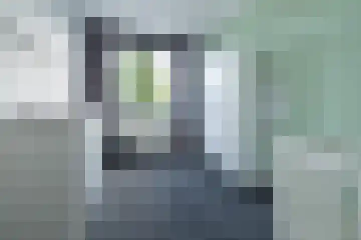 Zijdehoenderlaan 62 Barneveld thumbnail 20