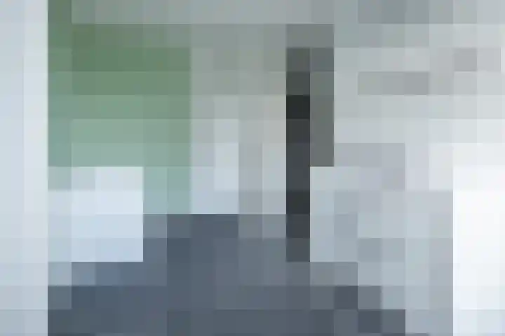 Zijdehoenderlaan 62 Barneveld thumbnail 21