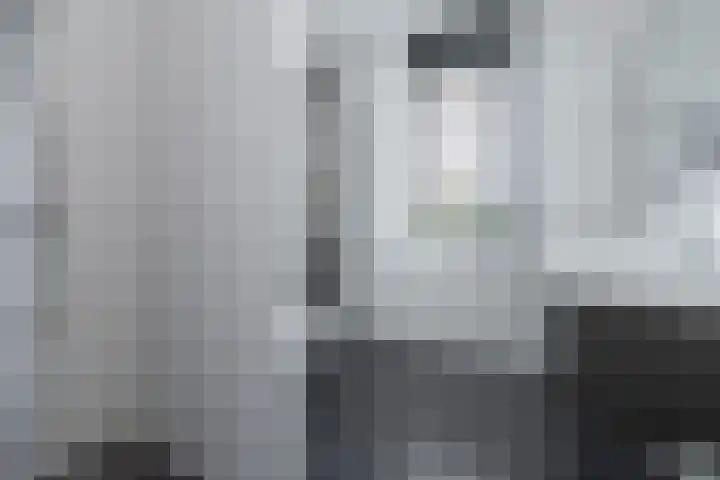 Zijdehoenderlaan 62 Barneveld thumbnail 22