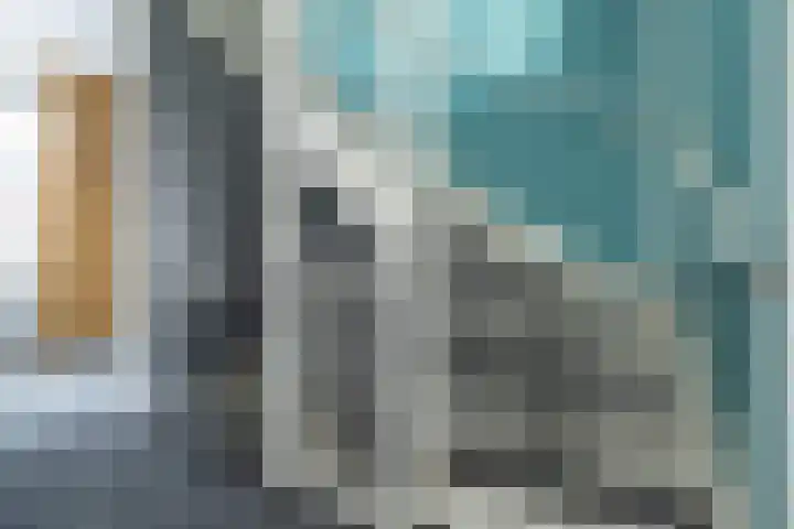 Zijdehoenderlaan 62 Barneveld thumbnail 25