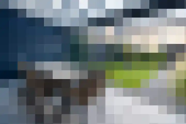 Zijdehoenderlaan 62 Barneveld thumbnail 30