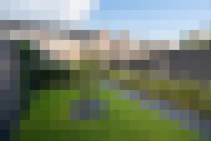 Zijdehoenderlaan 62 Barneveld thumbnail 33