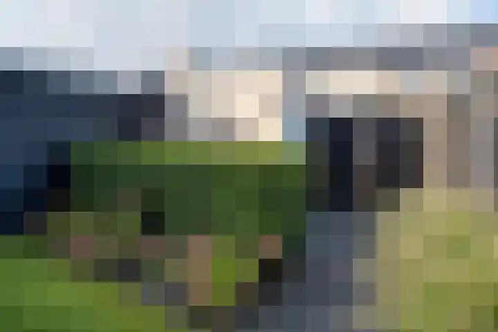 Zijdehoenderlaan 62 Barneveld thumbnail 34