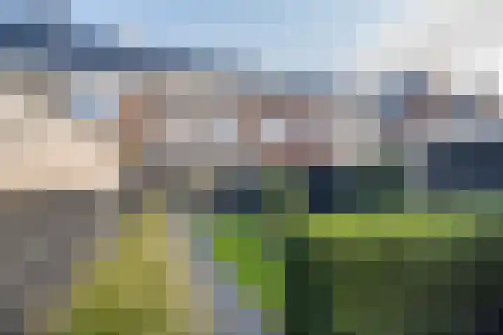 Zijdehoenderlaan 62 Barneveld thumbnail 35