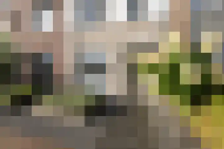 Zijdehoenderlaan 62 Barneveld thumbnail 38