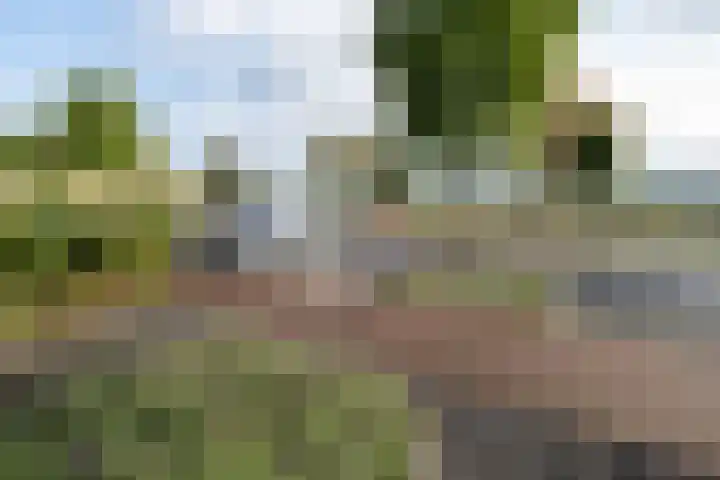 Zijdehoenderlaan 62 Barneveld thumbnail 39