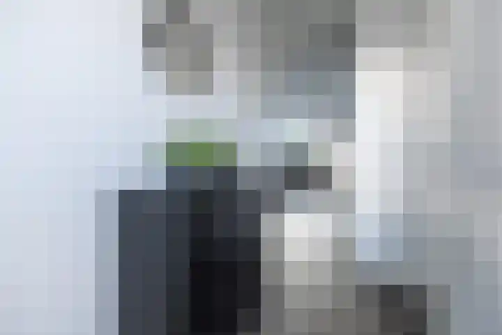 Zijdehoenderlaan 62 Barneveld thumbnail 4