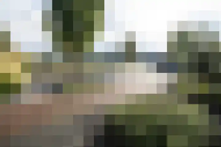 Zijdehoenderlaan 62 Barneveld thumbnail 40